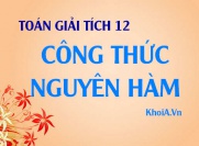 Công thức nguyên hàm của hàm sơ cấp và hàm hợp - Toán giải tích 12